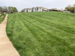 Commercial Property Mowing