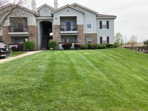 Commercial Property Mowing